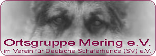 Deutscher Schäferhundeverein (SV) OG Mering